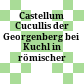 Castellum Cucullis : der Georgenberg bei Kuchl in römischer Zeit