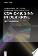 Covid-19: Sinn in der Krise : : Kulturwissenschaftliche Analysen der Corona-Pandemie /