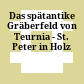 Das spätantike Gräberfeld von Teurnia - St. Peter in Holz