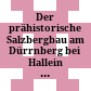 Der prähistorische Salzbergbau am Dürrnberg bei Hallein II : die Funde und Befunde der Bergwerksausgrabungen zwischen 1990 und 2000