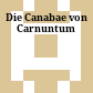 Die Canabae von Carnuntum