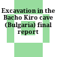 Excavation in the Bacho Kiro cave (Bulgaria) : final report