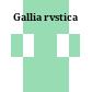 Gallia rvstica