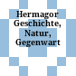 Hermagor : Geschichte, Natur, Gegenwart