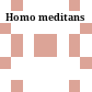 Homo meditans