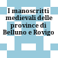 I manoscritti medievali delle province di Belluno e Rovigo