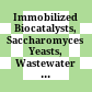 Immobilized Biocatalysts, Saccharomyces Yeasts, Wastewater Treatment /