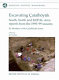 Inhabiting Çatalhöyük : Reports from the 1995-99 seasons