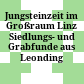 Jungsteinzeit im Großraum Linz : Siedlungs- und Grabfunde aus Leonding