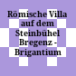 Römische Villa auf dem Steinbühel : Bregenz - Brigantium