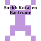Surkh Kotal en Bactriane