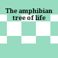The amphibian tree of life