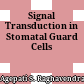 Signal Transduction in Stomatal Guard Cells