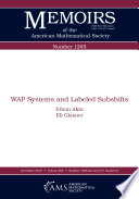 WAP systems and labeled subshifts /