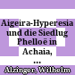 Aigeira-Hyperesia und die Siedlug Phelloë in Achaia, Teil II : österreichische Ausgrabungen auf der Peloponnes 1972 - 1983 ; T. 2, Theater und Umgebung