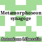 Metamorphoseon synagoge