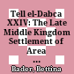 Tell el-Dabca XXIV: The Late Middle Kingdom Settlement of Area A/II A Holistic Study of Non-élite Inhabitants at Tell el-Dabca, Vol. 1