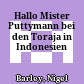 Hallo Mister Puttymann : bei den Toraja in Indonesien