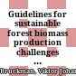 Guidelines for sustainable forest biomass production : challenges in view of an emerging bioeconomy
