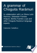 Grammar of Choguita Rarámuri : : In collaboration with Luz Elena León Ramírez, Sebastián Fuentes Holguín, Bertha Fuentes Loya and other Choguita Rarámuri language experts /