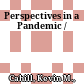 Perspectives in a Pandemic /