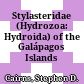 Stylasteridae (Hydrozoa: Hydroida) of the Galápagos Islands