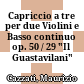 Capriccio a tre per due Violini e Basso continuo op. 50 / 29 : "Il Guastavilani"