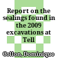 Report on the sealings found in the 2009 excavations at Tell el-Dabʿa
