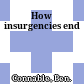 How insurgencies end