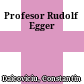 Profesor Rudolf Egger