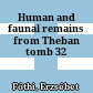 Human and faunal remains from Theban tomb 32
