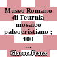 Museo Romano di Teurnia : mosaico paleocristiano ; 100 anni di patrimonio culturale mondiale