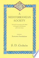A Mediterranean society : the Jewish communities of the Arab world as portrayed in the documents of the Cairo Geniza