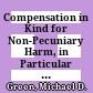 Compensation in Kind for Non-Pecuniary Harm, in Particular the Finding of a Violation: United States of America