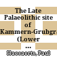 The Late Palaeolithic site of Kammern-Grubgraben (Lower Austria) : additional data on loess stratigraphy and palaeoenvironment