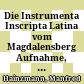 Die Instrumenta Inscripta Latina vom Magdalensberg : Aufnahme, Dokumentation, Analysen - ein Vorbericht