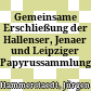 Gemeinsame Erschließung der Hallenser, Jenaer und Leipziger Papyrussammlungen