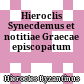 Hieroclis Synecdemus et notitiae Graecae episcopatum