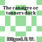 The canaigre or tanners dock