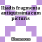 Iliadis fragmenta antiquissima cum picturis