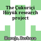 The Çukuriçi Höyük research project