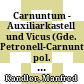Carnuntum - Auxiliarkastell und Vicus : (Gde. Petronell-Carnuntum, pol. Bez. Bruck/Leitha)