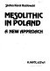 Mesolithic in Poland : a new approach