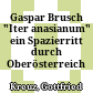 Gaspar Brusch "Iter anasianum" : ein Spazierritt durch Oberösterreich 1552