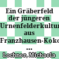 Ein Gräberfeld der jüngeren Urnenfelderkultur aus Franzhausen-Kokoron (UFK). Katalog und Abbildungen : Katalog und Abbildungen