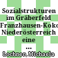 Sozialstrukturen im Gräberfeld Franzhausen-Kokoron, Niederösterreich : eine Analyse anhand der Urnengröße