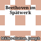 Beethoven im Spätwerk