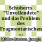 Schuberts "Unvollendete" und das Problem des Fragmentarischen in der Musik