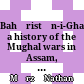 Bahāristān-i-Ghaybī : a history of the Mughal wars in Assam, Cooch Behar, Bengal, Bihar and Orissa during the reigns of Jahāngīr and Shāhjahān