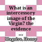 What is an intercessory image of the Virgin? : the evidence from the west
